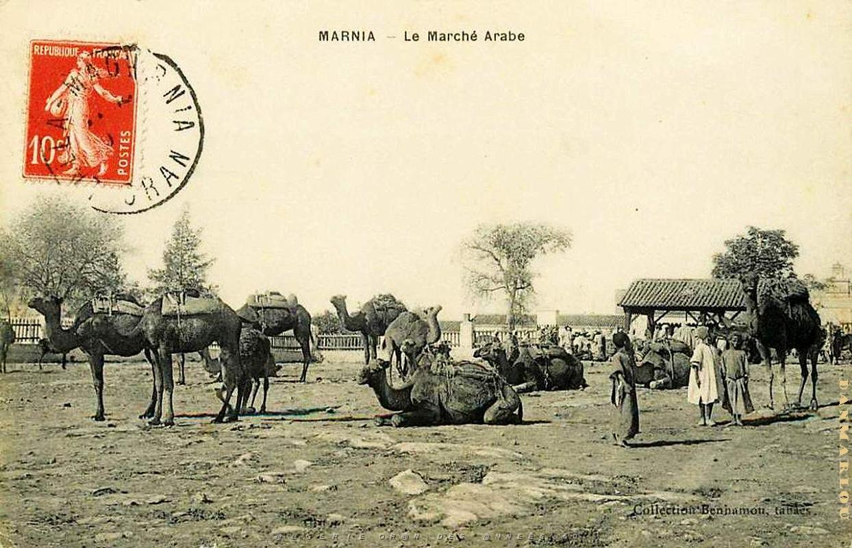 Marnia 289.jpg